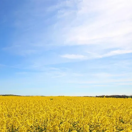 Apartment FeWo mit Meerblick, gratis Nutzung vom AHOI Erlebnisbad und Sauna in Sellin - Haus Blick zur See FeWo 03